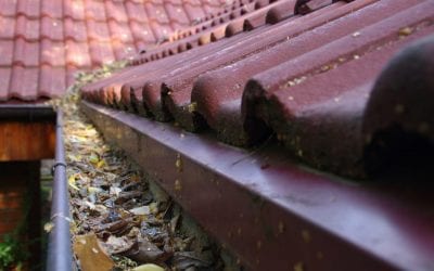Things Every Homeowner Should Know