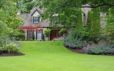5 Ways to Improve Curb Appeal