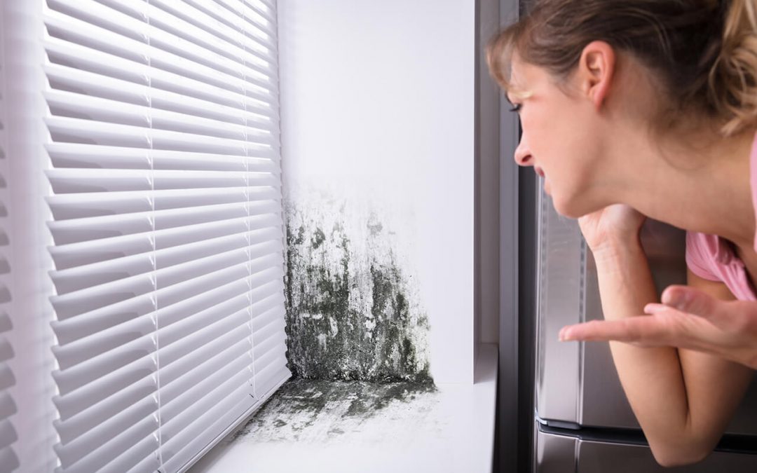 common home concerns