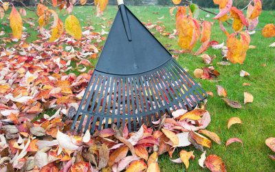 5 Ways to Boost Fall Curb Appeal